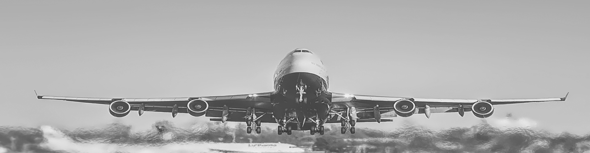 Tierbeförderung Exclusiv