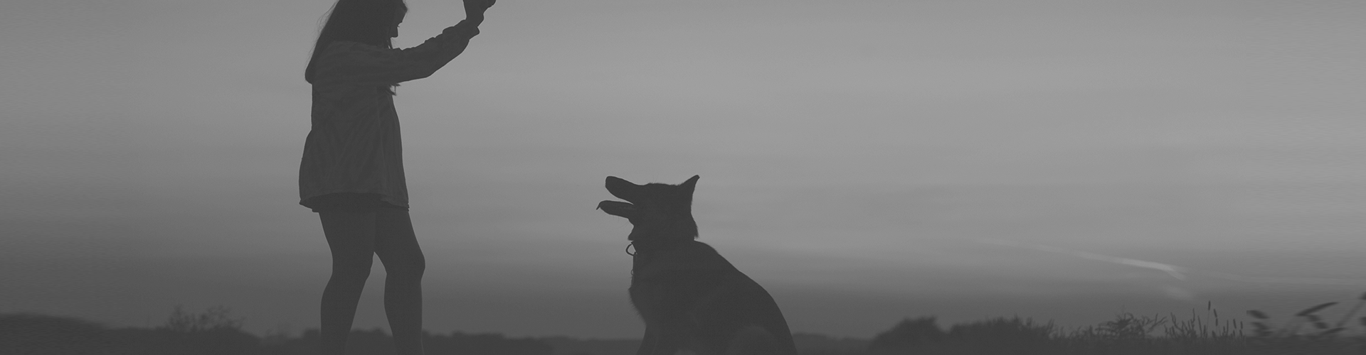 Individuelles Training